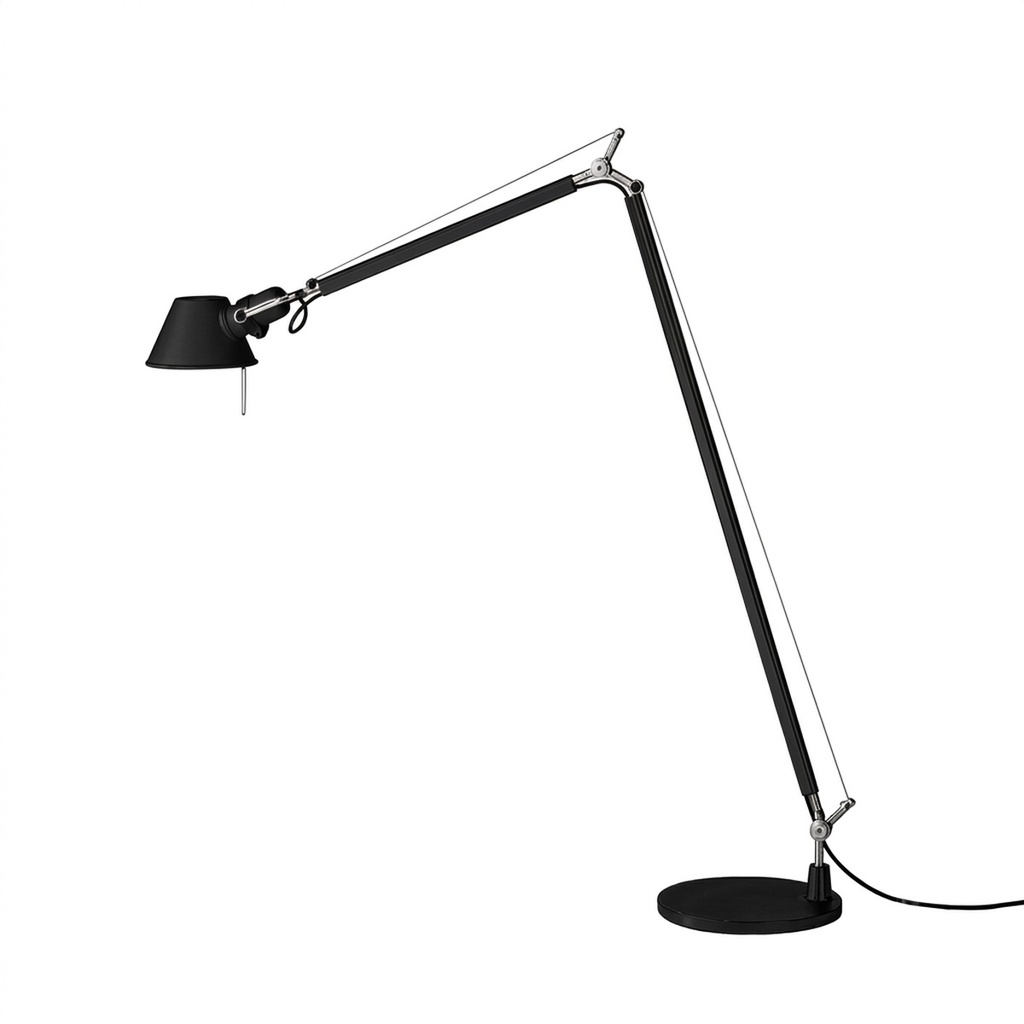 TOLOMEO READING TERRA