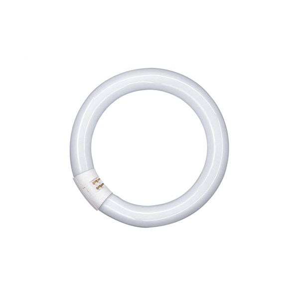 LAMPADA FLUORESCENTE CIRCOLINA T9 40W/840 G10Q OSRAM (precedente)
