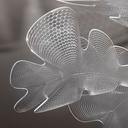 chlorophilia_gallery4750410-1920x1080-1-e1710930403751