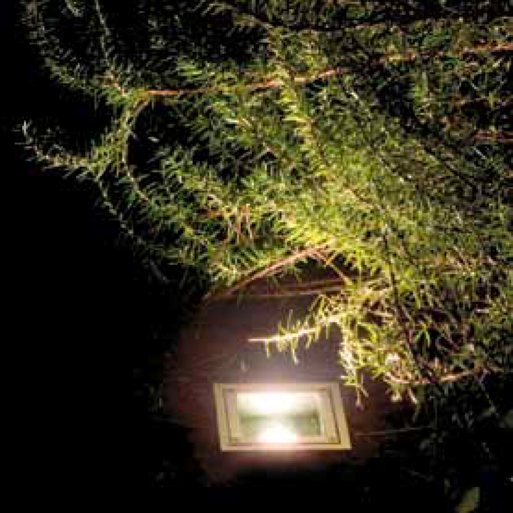 terra_tlb_2