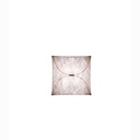 ariette1_flos_1