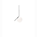 ic_flos_20_1