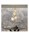 PAROLA SOSPENSIONE