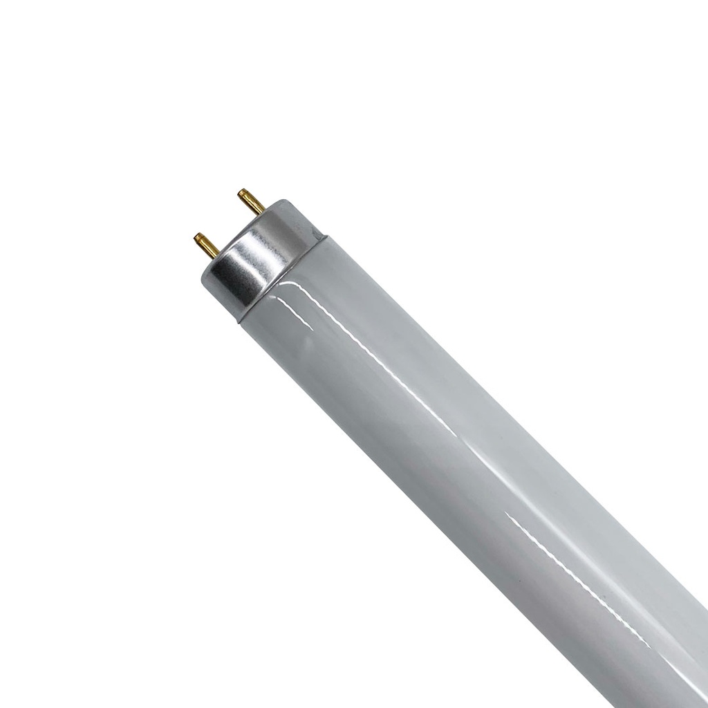 LAMPADA FLUORESECNTE LINEARE T8 36W/865 SPL