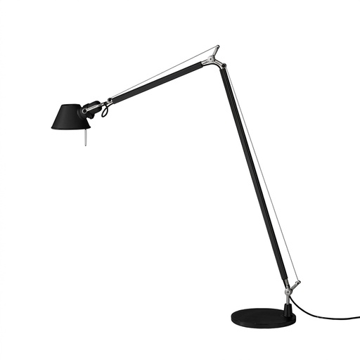 TOLOMEO READING TERRA